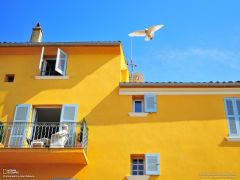 Tapeta National Geographic 719.jpg